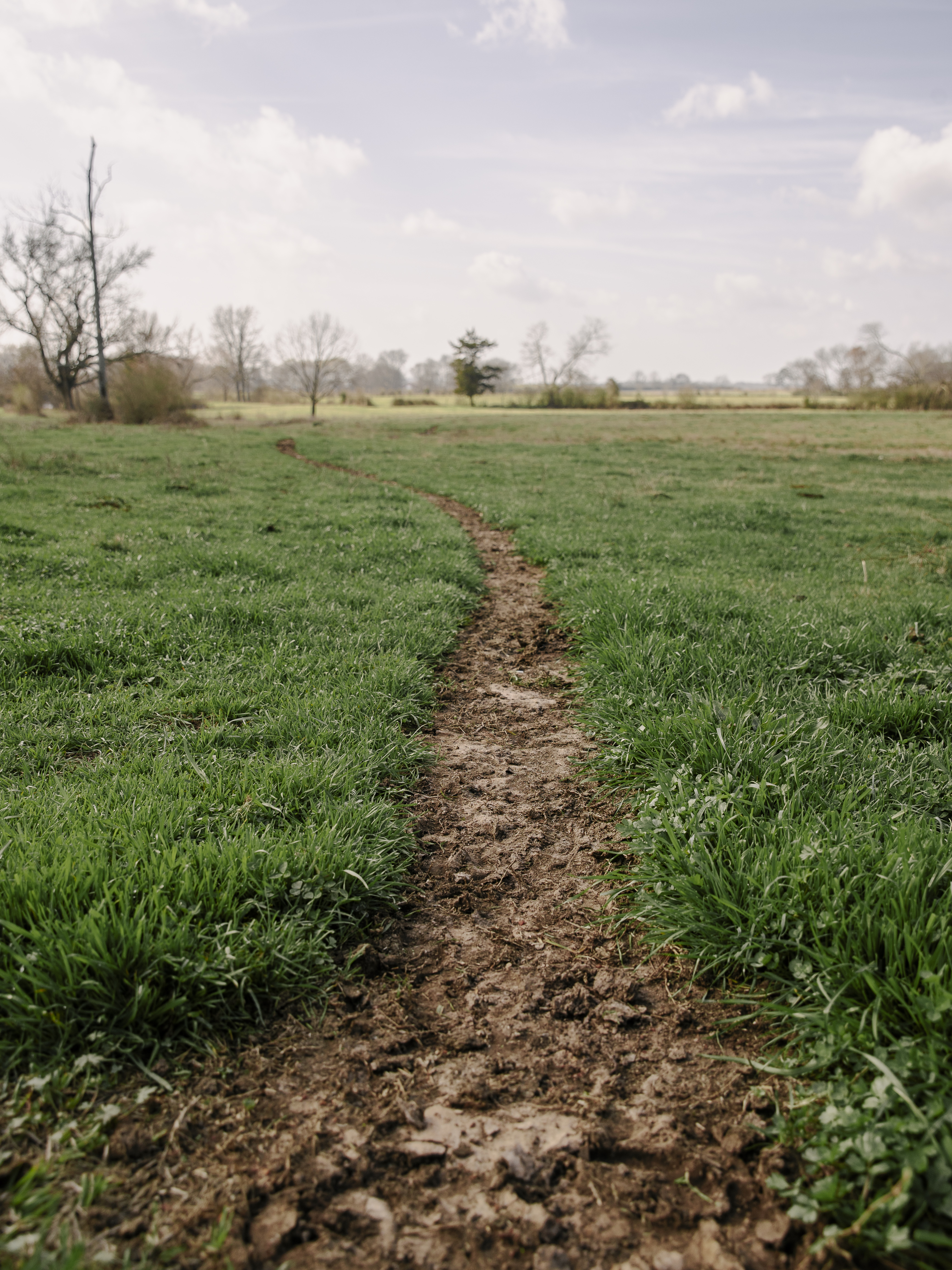 SqueezeChute SC25 0326 Sheriff 9022.jpg